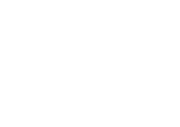 VISTA-logo-staffing-IGV-white